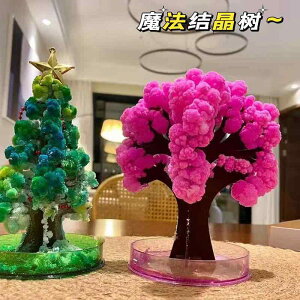  zr[  zr[ @ NX}X NX^ c[  q    Ȋw  {  