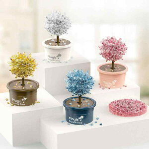  zr[  zr[ qp NX^ c[ A y Ȋw  m  ߋ   lH  