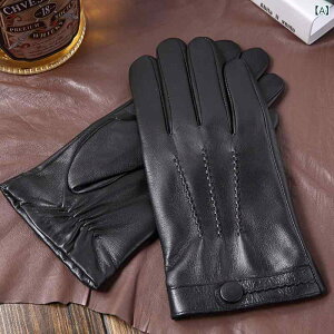  Y ~ h jbgO[u y [J[z t@bV Vv jbg E[ V[vXL Y v ܂ ܂Bx2