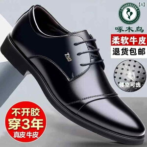 Ռz hL R DSn vC U[V[Y rWlXV[Y EbhybJ[ U[V[Y Y 2024 v ʋC Ȃ Ci[ nCg \tg \[ JWA V