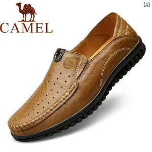 Ռz hL R DSn vC U[V[Y rWlXV[Y L YV[Y v JV  ʋC  T_ JWA U[V[Y \tg \[ pp