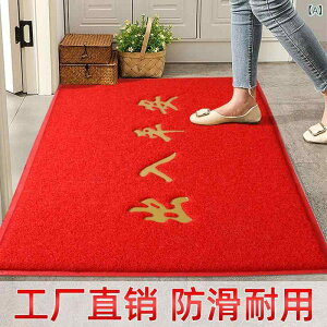 �h�A �J�[ �y�b�g �t���A �}�b�g ���� �Ԃ��j�� �z�[�� �|�[�` ����~��