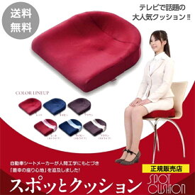 クッション 姿勢サポート 丸菱工業クッション スポットクッション 姿勢が良くなる 仙骨サポート クッション 骨盤サポート 腰痛クッション 優しくフィット 猫背対策 形崩しない 日本製 正規品 健康ギフト