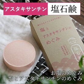 ロイス 塩とアスタキサンチンのめぐみ スキンケア 肌 洗顔 塩石鹸 固形 塩 せっけん 80g 日本製 MADE IN JAPAN 美肌 メンズ レディース 専用泡立てネット付き 健康 美容 グッズ 20代 30代 40代 50代 60代