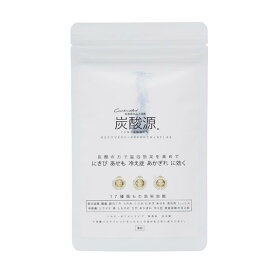 入浴剤 ギフト 炭酸源 入浴タブレット 3個入り 健康 プレゼント プチギフト 無着色 無香料 温浴効果 疲労回復 血行促進 腰痛 肩こり 肌ケア 炭酸源重炭酸 温泉成分 医薬部外品 日本製