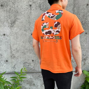 a31 23nClbNStVc Y bNlbN Ci[EFA Xgb` W{TCY StVc tR[f gbvX Y bNlbN ubN zCg 傫TCY X