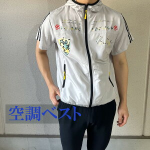a21 󒲃Vc t@tʃXJ GOLF M`4L  ĐV p StEFA 傫TCY golf MǑ΍//˖؍v