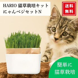 猫草 栽培 セット にゃんベジ セット 猫草栽培 ねこ草 おしゃれ 毛玉ケア 磁器 鉢付き 初心者 簡単 室内栽培 HARIO