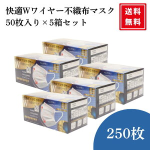 快適 ダブルワイヤー マスク不織布 2本 50枚入り 5個セット ふつうサイズ ダブルワイヤーマスク 3層構造 99%カット 小顔シルエット 使い捨て