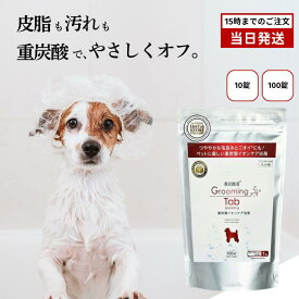 ホットタブ グルーミングタブ 10錠 100錠 ペット用 重炭酸 入浴ケア 犬 猫 低刺激 無香料 ビタミンC配合 皮膚 被毛 肉球 ケア タブレット