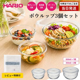 HARIO ボウルップ 保存容器