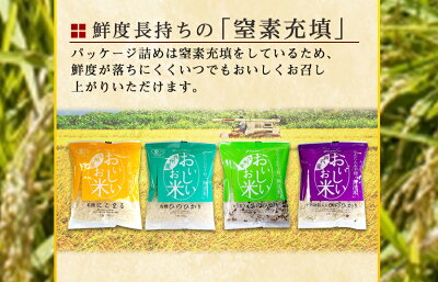 国産無洗米おいしいお米4種類計12合セットお試し1合分小分け米・雑穀もち麦十六穀米一人暮らしベストアメニティ
