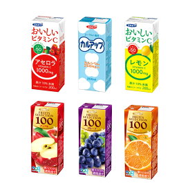 エルビー 紙パック ジュース 6種類36本セット 果汁 カルシウム 飲料 飲みきりサイズ まとめ買い