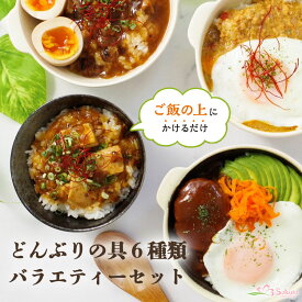 丼の具6種バラエティーセット レンジ調理 ルーロー飯 ガパオ ロコモコ 牛丼