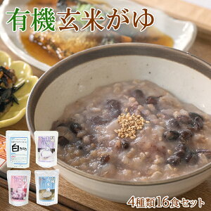 gg  L@ JASF Ă 416H lߍ킹 Zbg    H H _CGbg  䂫Ђ H  ̂܂ h{ v[g Mtg d 