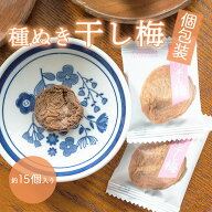 種ぬき 干し梅（個包装タイプ）50g×10袋セット 御中元 お中元 夏ギフト