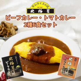 元祖オムイスの店 北極星のビーフカレー＆トマトカレー2種6食 詰め合わせ 大阪名物 ご当地カレー お土産 非常食 保存食 ギフト 景品 イベント お中元 父の日 母の日 御歳暮 御年賀 仕送り 買い置き 時短 グルメ 取り寄せ ストック 簡単 ギフト キャンプ飯 アウトドア