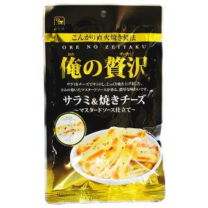 ґ T~Ă`[Y 41g ܂  ̍   傢 ӎ Hi v[g Mtg 蕨 Lv AEghA oR ̓ ̓ hV̓  Ε N 