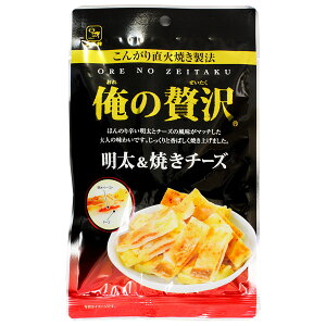 ґ Ă`[Y 40g ܂  ̍   傢 ӎ Hi v[g Mtg 蕨 Lv AEghA oR ̓ ̓ hV̓  Ε N 