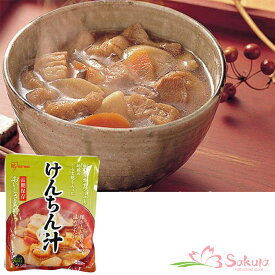 惣菜 レトルト けんちん汁 300g（1人前） 非常食 保存食