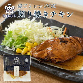 レンジ対応パック 照り焼きチキン 常温保存 内野屋 レトルト惣菜 ロングライフ 非常食 御中元 お中元 夏ギフト