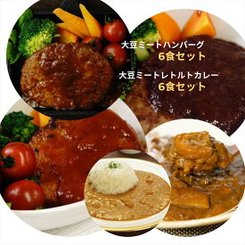 大豆ミートハンバーグ6食と大豆ミートレトルトカレー6食セット プラントベース たんぱく質 プロテイン