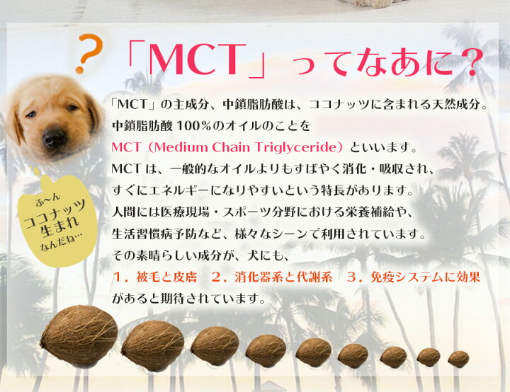 楽天市場 犬用 Mctオイル5本セット 100ml ペット用 有機オーガニック ココナッツオイル 栄養補給 サプリメント お手入れ ボディケア 自然派ストアsakura