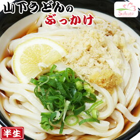 讃岐うどん 山下のぶっかけうどん 2食入（半生麺、箱） 有名店 グルメ 簡単調理 時短 キャンプ飯 アウトドア 食べ物 贈り物 料理 景品 イベント グルメ 一人暮らし 高齢者 子供 単身赴任 子育て 内祝い ギフト 誕生日祝い お歳暮 お年賀 お返し 小腹 軽食 夜食 ランチ 昼食