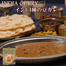 インド4種の豆カレー170g（本格インドカレー）【無添加レトルトカレー・ご当地カレー】化学調味料不使用！