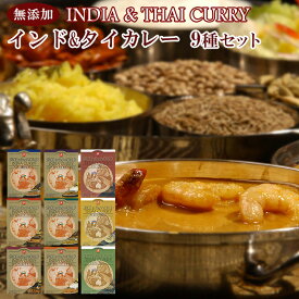 ご当地レトルトカレー インドカレー & タイカレー 9種類 （カレー、ご当地カレー）お試しセット・各170gX9食（母の日・父の日・お中元・お歳暮などのギフト対応可） 仕送り 買い置き 時短 グルメ 取り寄せ ストック 簡単 ギフト