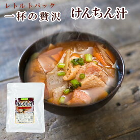 レトルト 総菜 けんちん汁250g 醤油味 具だくさん 長期1年保存 母の日