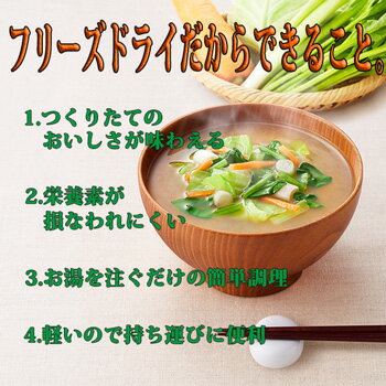 アマノフーズフリーズドライ味噌汁減塩うちのおみそ汁野菜(5食入)インスタントみそ汁