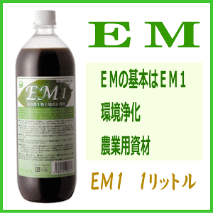 EM1 Lpyǎ EM1 yL@JASKށzyRCPzyP27Mar15z
