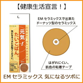 EM セラミックス元気たいこばん（10枚入り）【RCP】【P27Mar15】