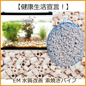 EM セラミックス 素焼きパイプ 有用微生物水質改良資材（1L）【RCP】【P27Mar15】