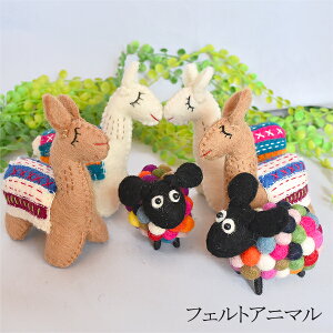 �t�F���g�A�j�}�� �A�W�A���G�� �G�X�j�b�N�G�� �o���u���� �G�� �J���C�C �M�t�g �l�p�[�� �ʂ������ �l�` �t�G���g �u�� ���� �A���p�J �q�c�W