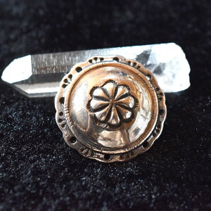 R` p[c lW lCeBu fB[X Y jZbNX Vo[925 lW [v U[Ntg  P[X JX^p[c obO vz R`̂ CfBA