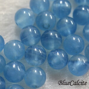 y[֑Ήzu[JTCg 6~ JTCg p[Xg[ VR nhCh AWA GXjbN ou