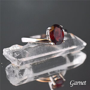 K[lbg O 12 VR p[Xg[ Vo[925 w ў֐