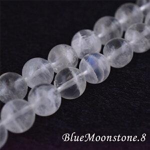 u[[Xg[ 8~ ō 1 o VR p[Xg[ [Xg[ e  zoX nhCh 