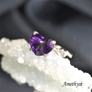 AWXg 9  ō w O VR p[Xg[ ANZT[ Vo[ v`iR[eBO v[g Mtg