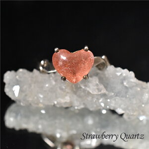 Xgx[NH[c 10 ō O v`iR[eBO Xgx[NH[c O w VR p[Xg[ ANZT[ AWA GXjbN