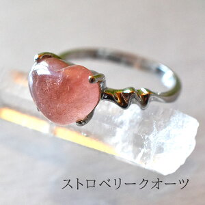 Xgx[NH[c 12 ō O v`iR[eBO Xgx[NH[c O w VR p[Xg[ ANZT[ AWA GXjbN