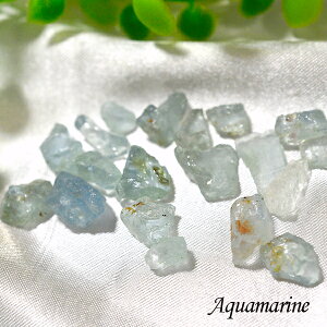 �A�N�A�}���� ��10g �T�U�� �g�b�v�O���[�h �V�R�� �p���[�X�g�[�� �� 3���̒a����