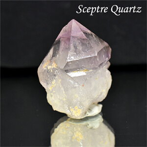 Zv^[NH[c  ̂ ┐ 󏭌 RN^[ AWXg  _ ou AXg[