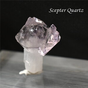 Zv^[NH[c  ̂ ┐ 󏭌 RN^[ AWXg  _ ou AXg[