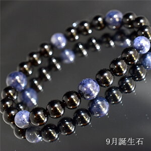 9a΃uXbg 17Z` a Tt@CA VR p[Xg[ ou