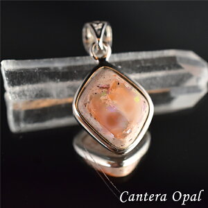 JeIp[ y_ggbv AXg[ Ip[ ou VR p[Xg[