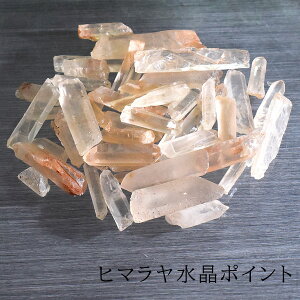 y[Ήzq}|Cg |CgTU100g ō |Cg  VR p[Xg[ 򉻃nhCh ISiCg AWA GXjbN