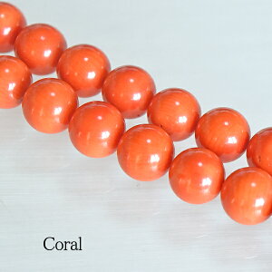 y[֑ΉzԃTS12~1 X TS R[ bhR[ VR p[Xg[ DP q